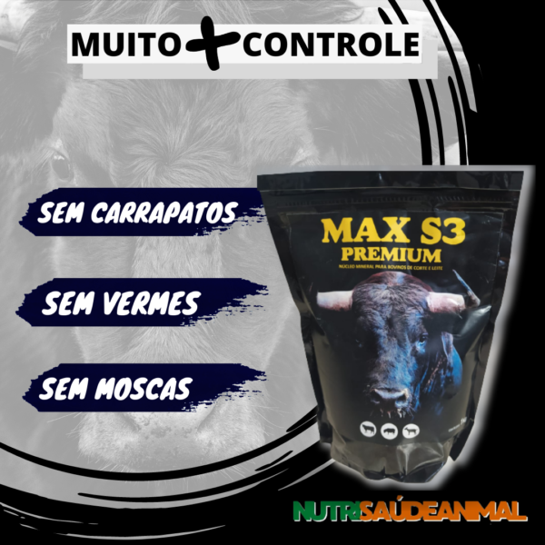 Max S3 Premium +Controle - Imagem 2
